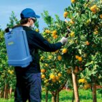 гръбни пръскачки от Матаби Испания