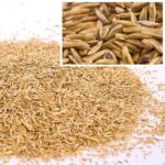 Тревна смеска Рестарт подсяване и рехабилитация SR-50 Turbo 1кг - 50м2 от Wolf Garten