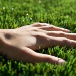 Тревна смеска спорт SG 100 2кг 100м2 Wolf Garten