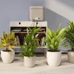 Автоматична капкова поливна система Oasis Evolution Claber