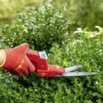 Ножица за трева GS 2P Comfort Hand Grass Shears 180°